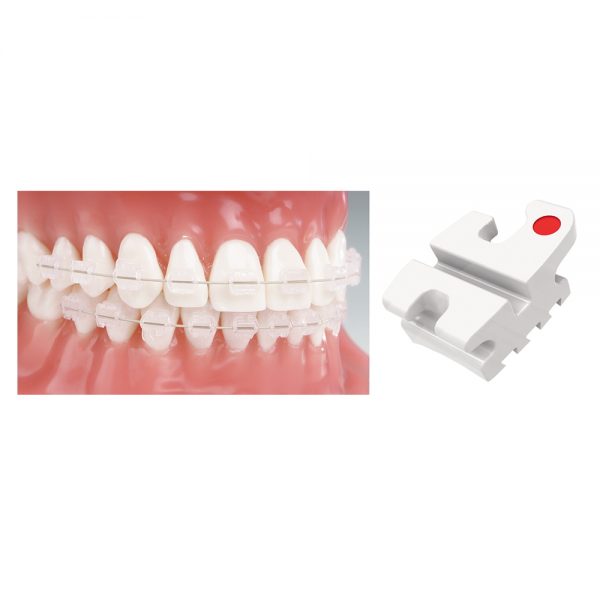 Aesthetic Brackets OrthoFlex Composite Bracket System OrthoFlex Standard Edgewise RX 10 Packs