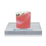 Buccal Tubes TruEase Buccal Tubes TruEase LP Mini Typodont