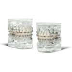 Orthodontic Anchorage Spider Screw TAD System Spider Screw Demo Typodont