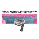 Lotus-Plus-DS-Bonding-Base