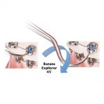 Lotus-Plus-DS-Explorer