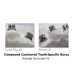 Lotus-Plus-DS-Vs-Damon-Q