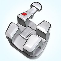 Marquis-Bracket Marquis Stainless Steel Bracket System