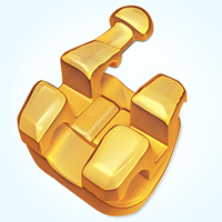 MarquisGold-Bracket Marquis TruGold 24K Gold Plated Bracket System