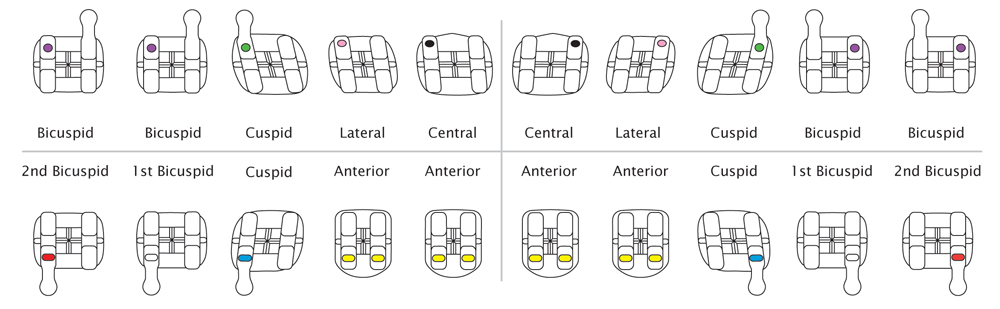 Pinnacle Roth ID Chart