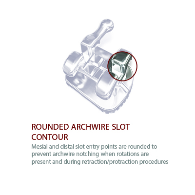 Pinnacle Slider Image5