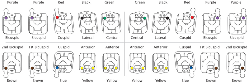 Sensation M Identification Chart