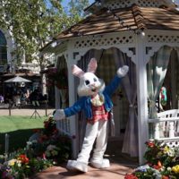 TheGroveweb The Grove California