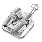 Lotus Plus DS Interactive